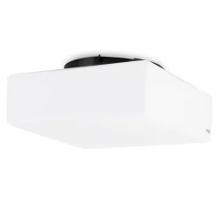 Discount 666099 Wand- / Deckenleuchte Wandleuchten|Deckenleuchten