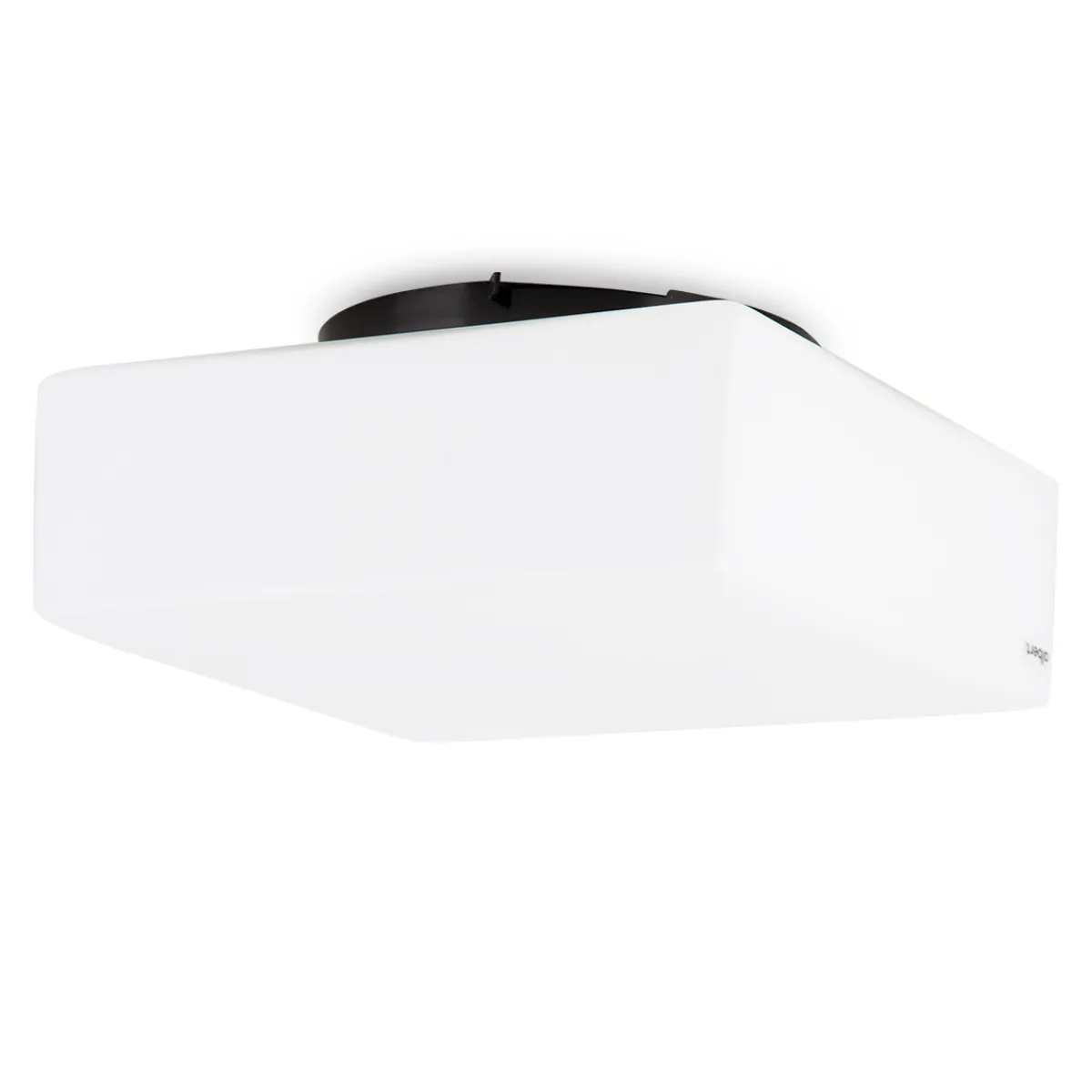 Discount 666099 Wand- / Deckenleuchte Wandleuchten|Deckenleuchten