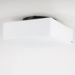 Discount 666099 Wand- / Deckenleuchte Wandleuchten|Deckenleuchten