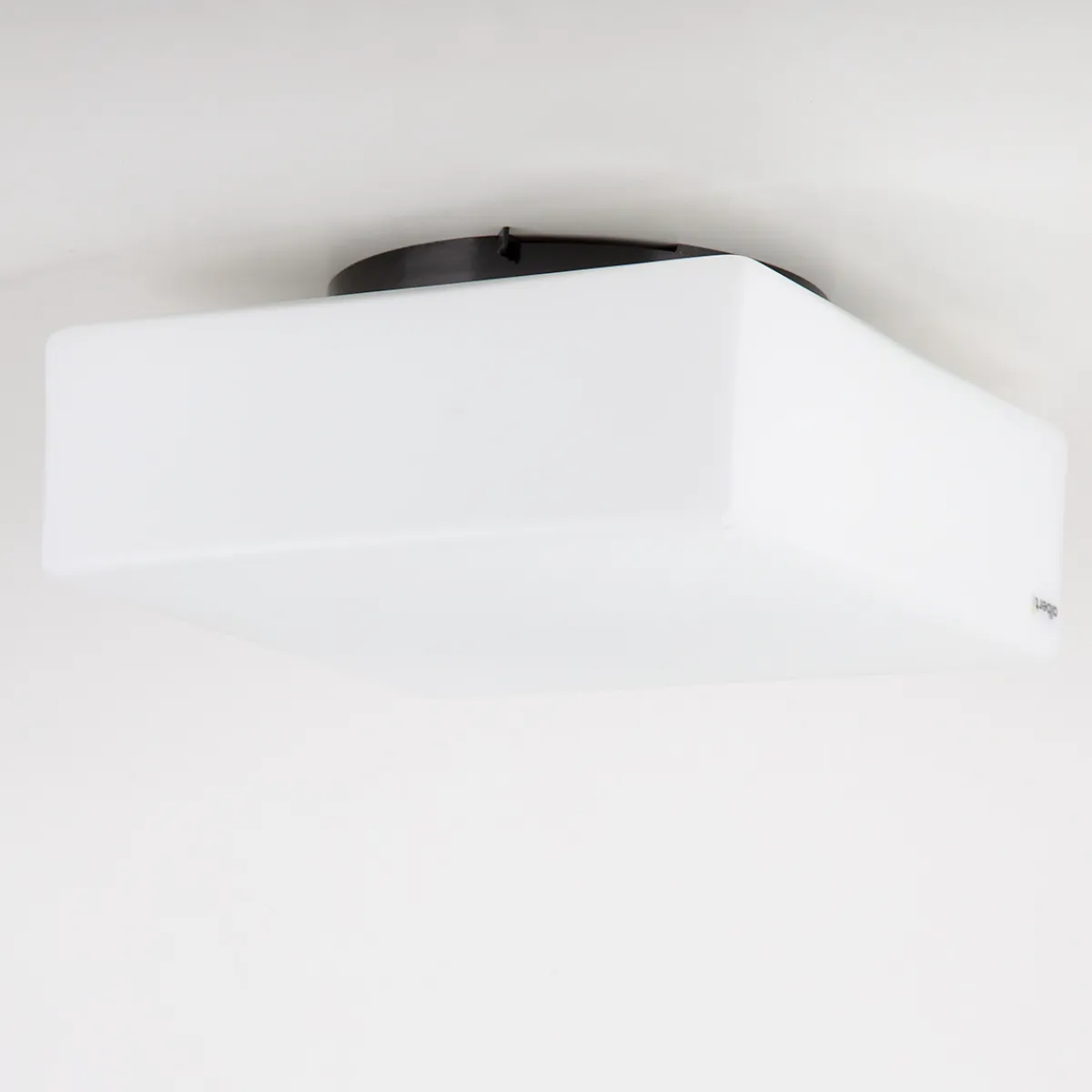 Discount 666099 Wand- / Deckenleuchte Wandleuchten|Deckenleuchten