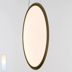 Discovery Vertical 100 LED Sospensione, Tunable White Pendelleuchten|Objektbeleuchtung