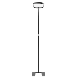 Discount Kido-12 LED Stehleuchte, asymmetrisch Stehleuchten|Objektbeleuchtung