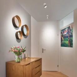 New Vito Spot 50° LV C LED Deckenaufbaustrahler Hotellerie|Strahler