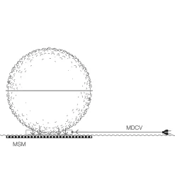 Discount 230 V Zuleitung mit Stecker für Medousê F LED Montagezubehör