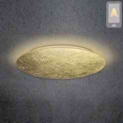 Hot Blade LED Wand- / Deckenleuchte, Ø: 79 cm, mit Casambi-Modul Deckenleuchten|Wandleuchten