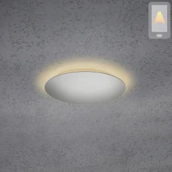 Hot Blade LED Wand- / Deckenleuchte, Ø: 34 cm, mit Casambi-Modul Wandleuchten|Deckenleuchten