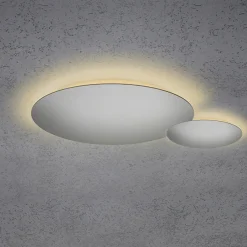 Sale Blade LED Wand- / Deckenleuchte, 2-flg., Ø 44 cm, Silber matt eloxiert Wandleuchten|Deckenleuchten