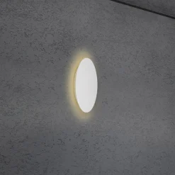 Hot Blade Mini LED Wand- / Deckenleuchte, Ø: 18 cm, mit Casambi-Modul Wandleuchten|Deckenleuchten