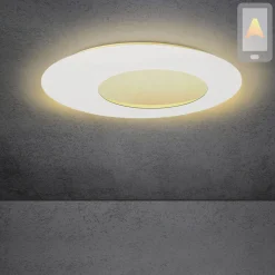 Hot Blade Open LED Wand- / Deckenleuchte, Ø: 79 cm, mit Casambi-Modul Wandleuchten|Deckenleuchten