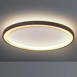 New Loud LED Wand- / Deckenleuchte, Ø: 50 cm, mit Casambi-Modul Wandleuchten|Deckenleuchten
