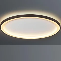 Best Loud LED Wand- / Deckenleuchte, Ø: 65 cm, mit Casambi-Modul Wandleuchten|Deckenleuchten