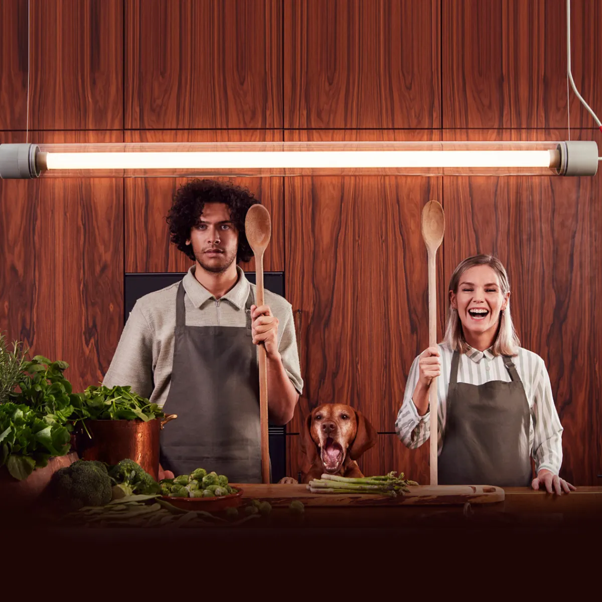 Discount Tjoep Large LED Wand- / Pendelleuchte Wohnzimmer|Flur