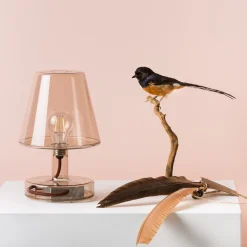 Discount Transloetje LED Akkuleuchte Kinder Wohnzimmer|Schlafzimmer