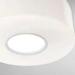 Online Bellhop Glass S2 Pendelleuchte Gastronomie|Essbereiche