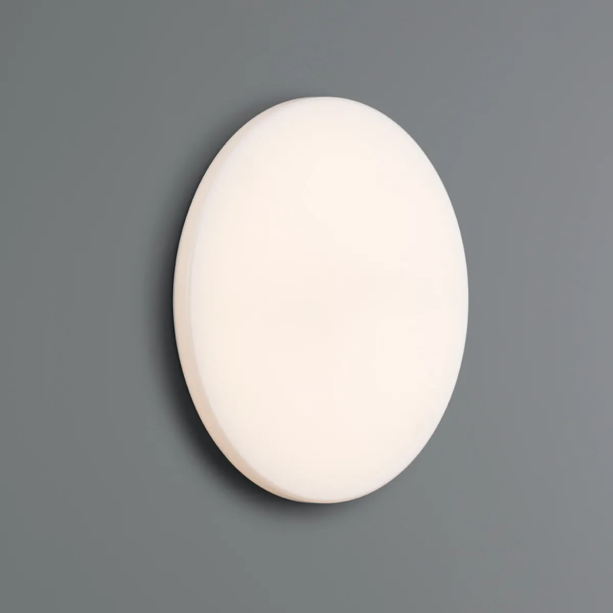 Outlet Clara LED Wand- / Deckenleuchte, Rückläufer Wandleuchten|Deckenleuchten