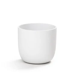 Best Gaku Accessories Schale Aufbewahrung|Dekoration