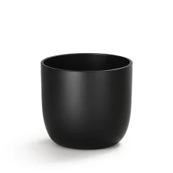 Best Gaku Accessories Schale Aufbewahrung|Dekoration