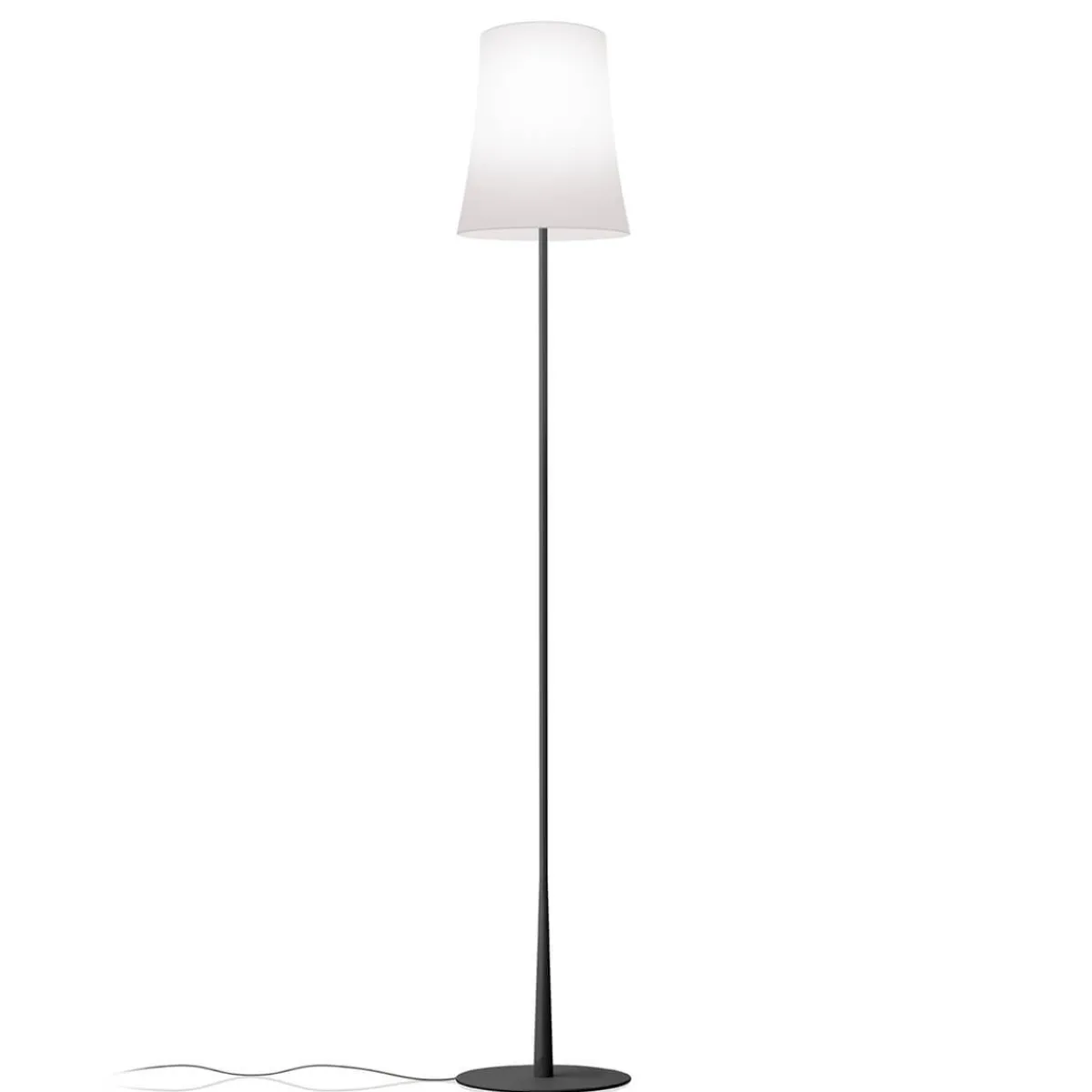 Sale Birdie Easy Lettura Terra Wohnzimmer|Schlafzimmer