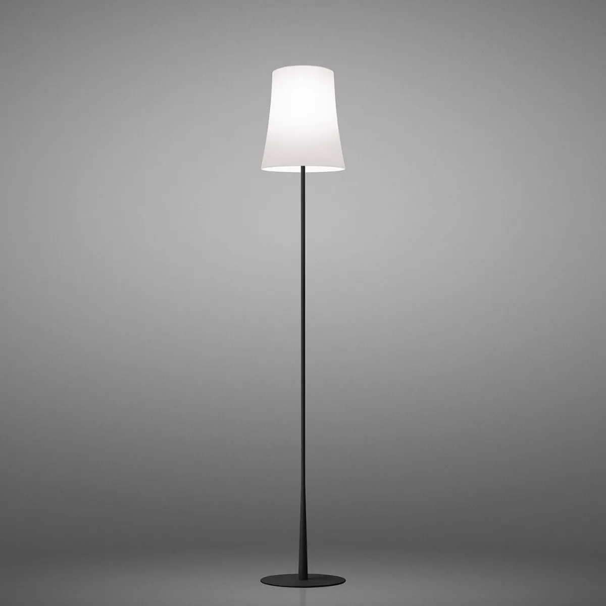 Sale Birdie Easy Lettura Terra Wohnzimmer|Schlafzimmer