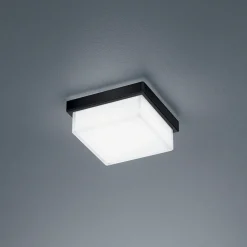 Discount Cosi LED Wand- / Deckenleuchte Flur|Badezimmer