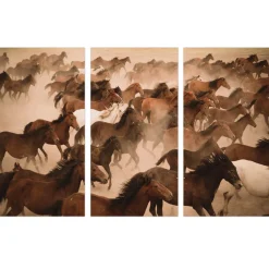 Glasbild Digitaldruck Wildpferde II, 3er-Set, 120 x 180 cm Bilder|Flur