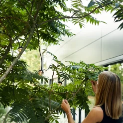 Online Cherry bubbls plug LED Lichterkette Lichterketten & Laternen|Gastronomie