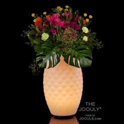 Sale 2er Set The Joouly Ltd. LED Akkuleuchte, Bluetooth Lautsprecher & Weinkühler Gadgets & Technik|Aufbewahrung