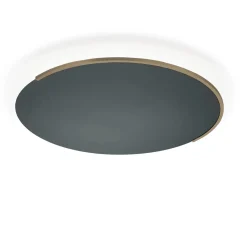 Online Astra-60 LED Wand- / Deckenleuchte Hotellerie|Wandleuchten