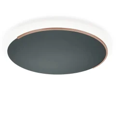 Online Astra-60 LED Wand- / Deckenleuchte Hotellerie|Wandleuchten