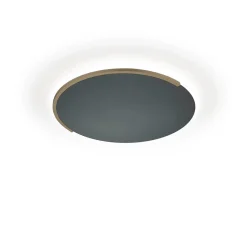 Discount Astra-40 LED Wand- / Deckenleuchte Hotellerie|Wandleuchten