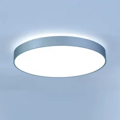 Clearance Basic-X1 Deckenleuchte, Mikroprismatik Deckenleuchten|Objektbeleuchtung