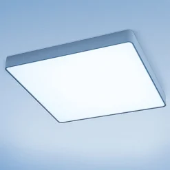 Outlet Caleo-A2 Wand- / Deckenleuchte, Mikroprismatik Wandleuchten|Deckenleuchten