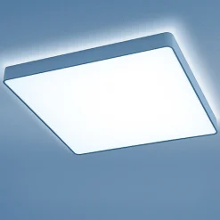 Caleo-X2 Wand- / Deckenleuchte, Mikroprismatik Wandleuchten|Deckenleuchten