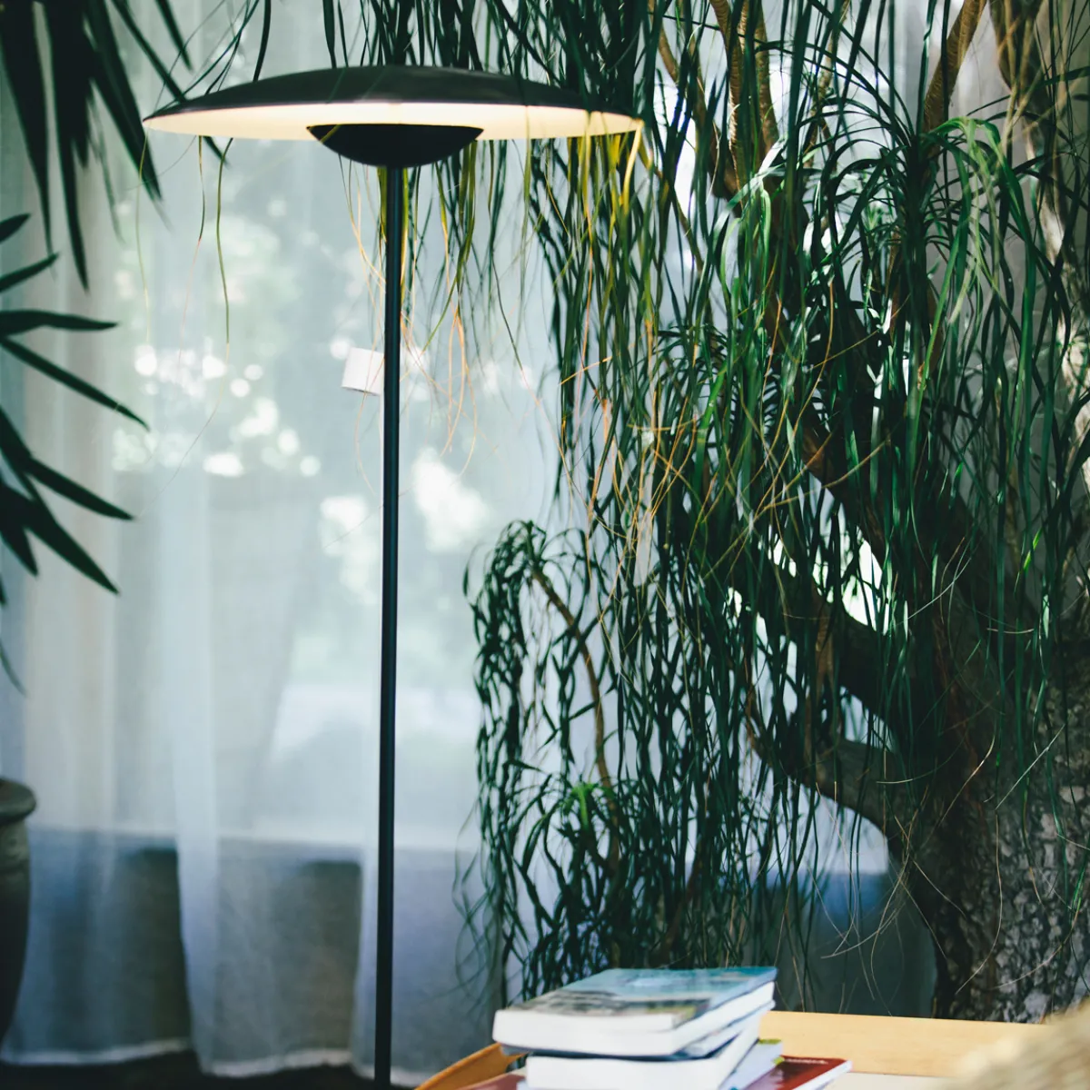 Clearance Ginger P LED Stehleuchte Stehleuchten