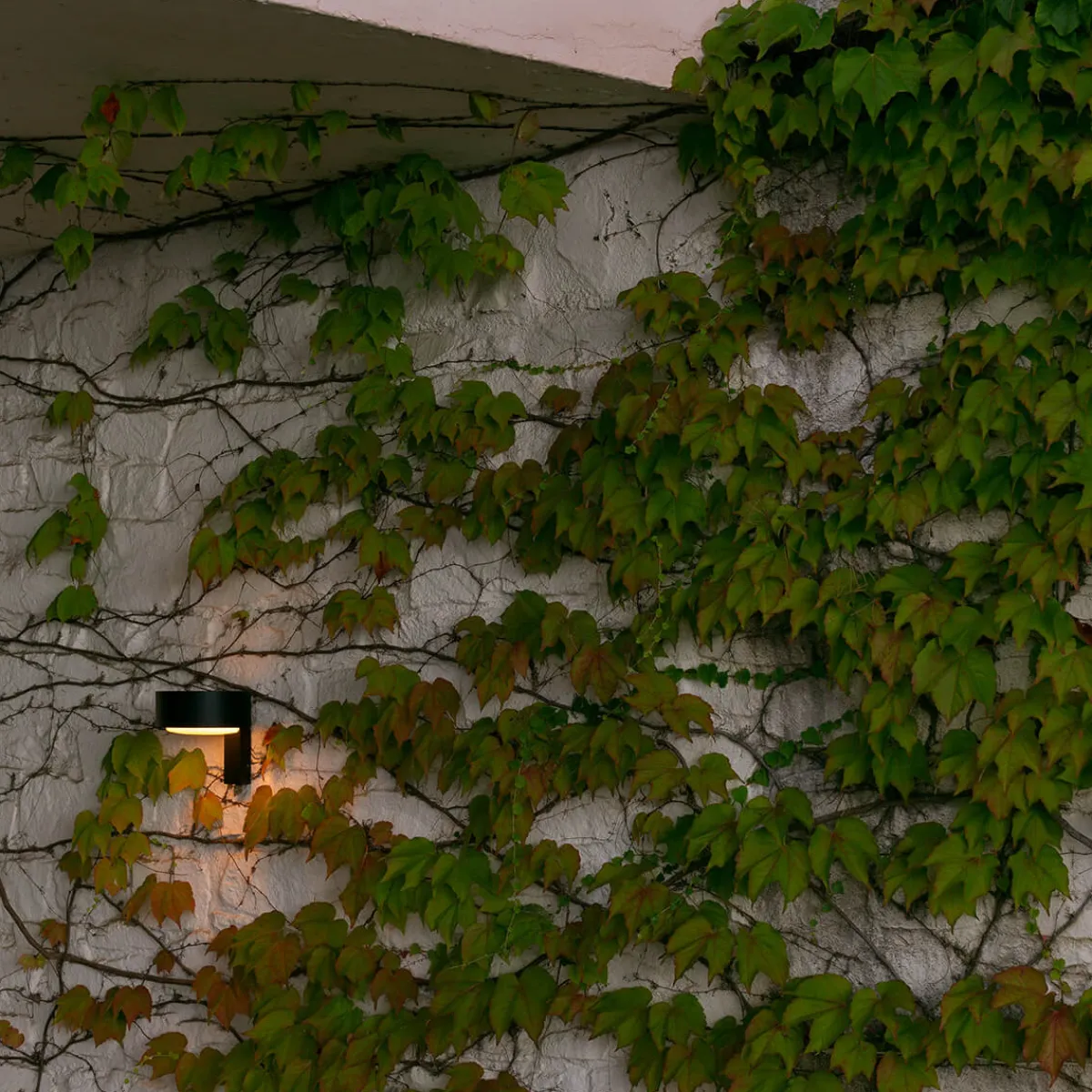 Online Plaff-on! A IP65 LED Wandleuchte Terrassen|Hauseingänge