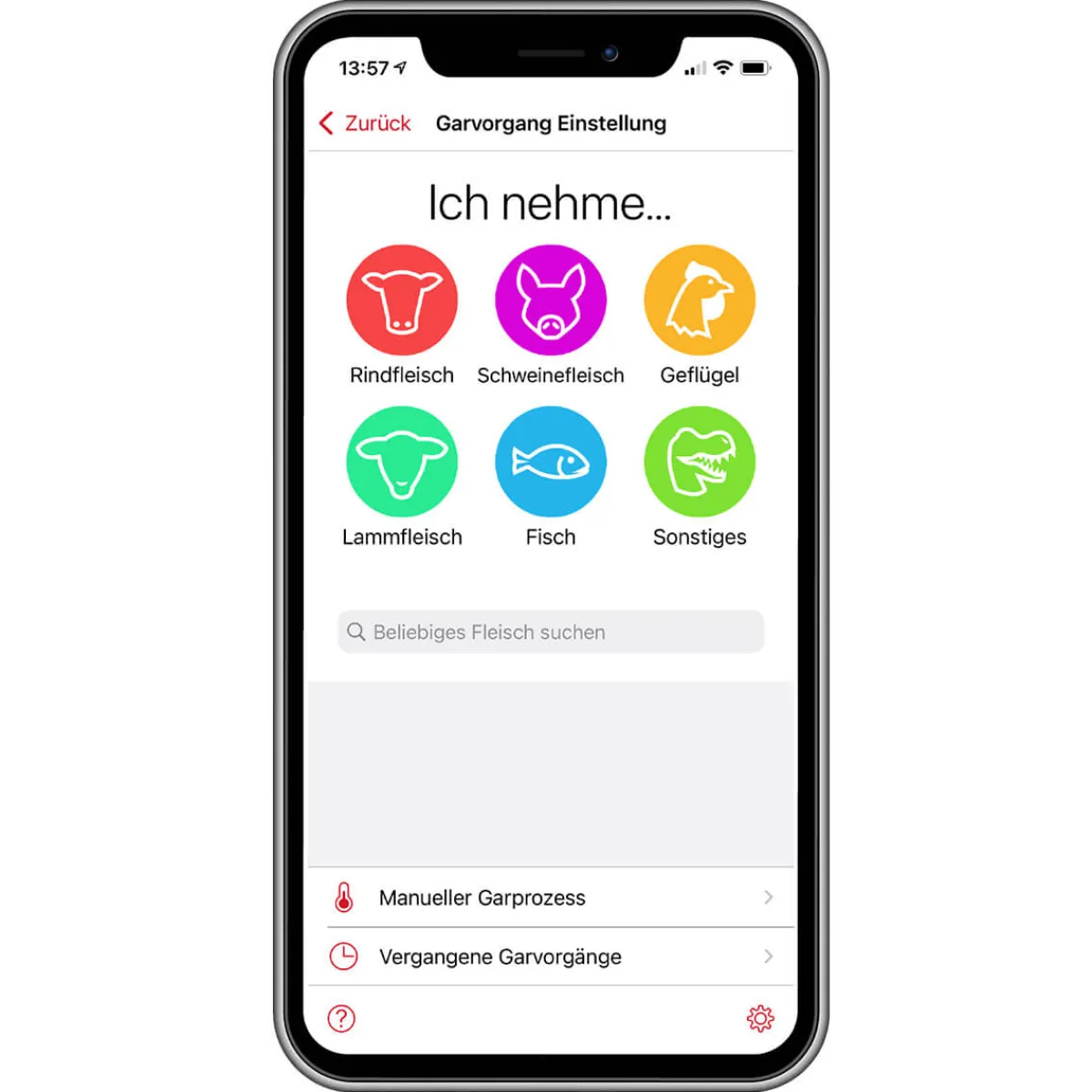 Online Block WLAN & Bluetooth Fleischthermometer Steak & Bbq Tools|Grills & Pizzaöfen