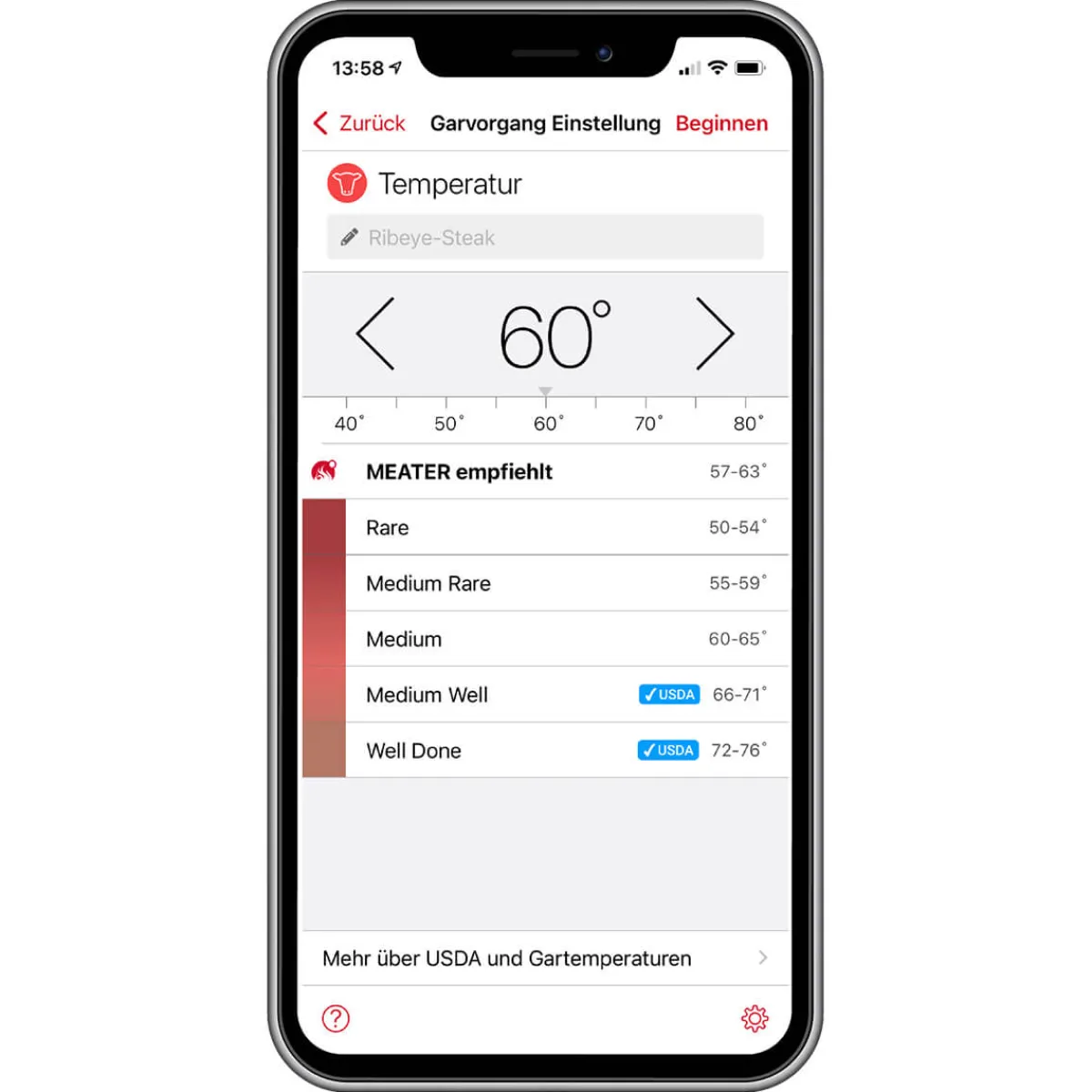 Online Block WLAN & Bluetooth Fleischthermometer Steak & Bbq Tools|Grills & Pizzaöfen
