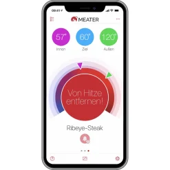 Online Block WLAN & Bluetooth Fleischthermometer Steak & Bbq Tools|Grills & Pizzaöfen