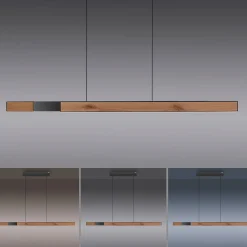 Best PURE Moto-Rise LED Pendelleuchte mit e-SLIDE, e-LIFT und CCT, Rückläufer Pendelleuchten