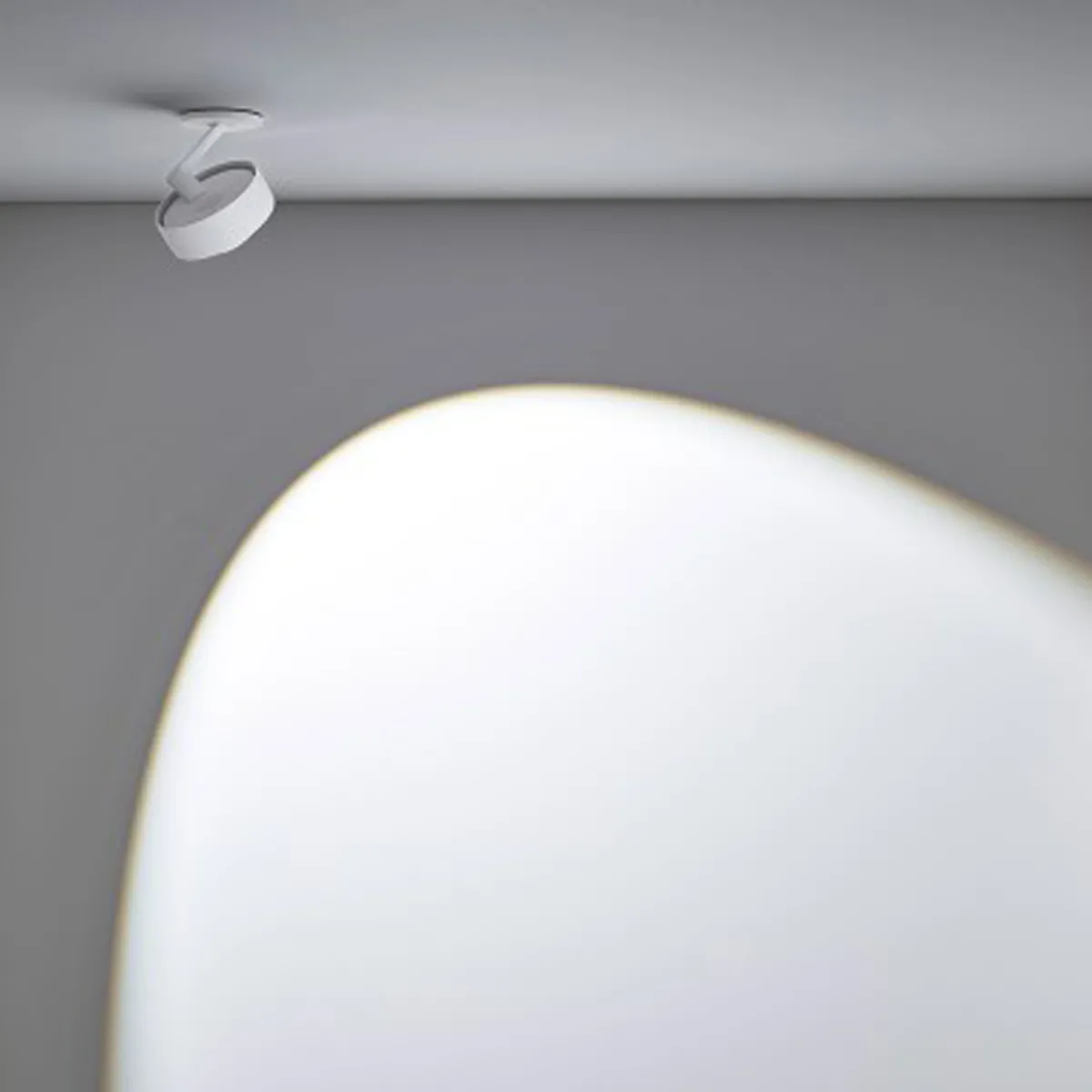 Sale Piu alto 3d Volt C80 Deckenstrahler, 2700 K Shopbeleuchtung|Museen/Showrooms