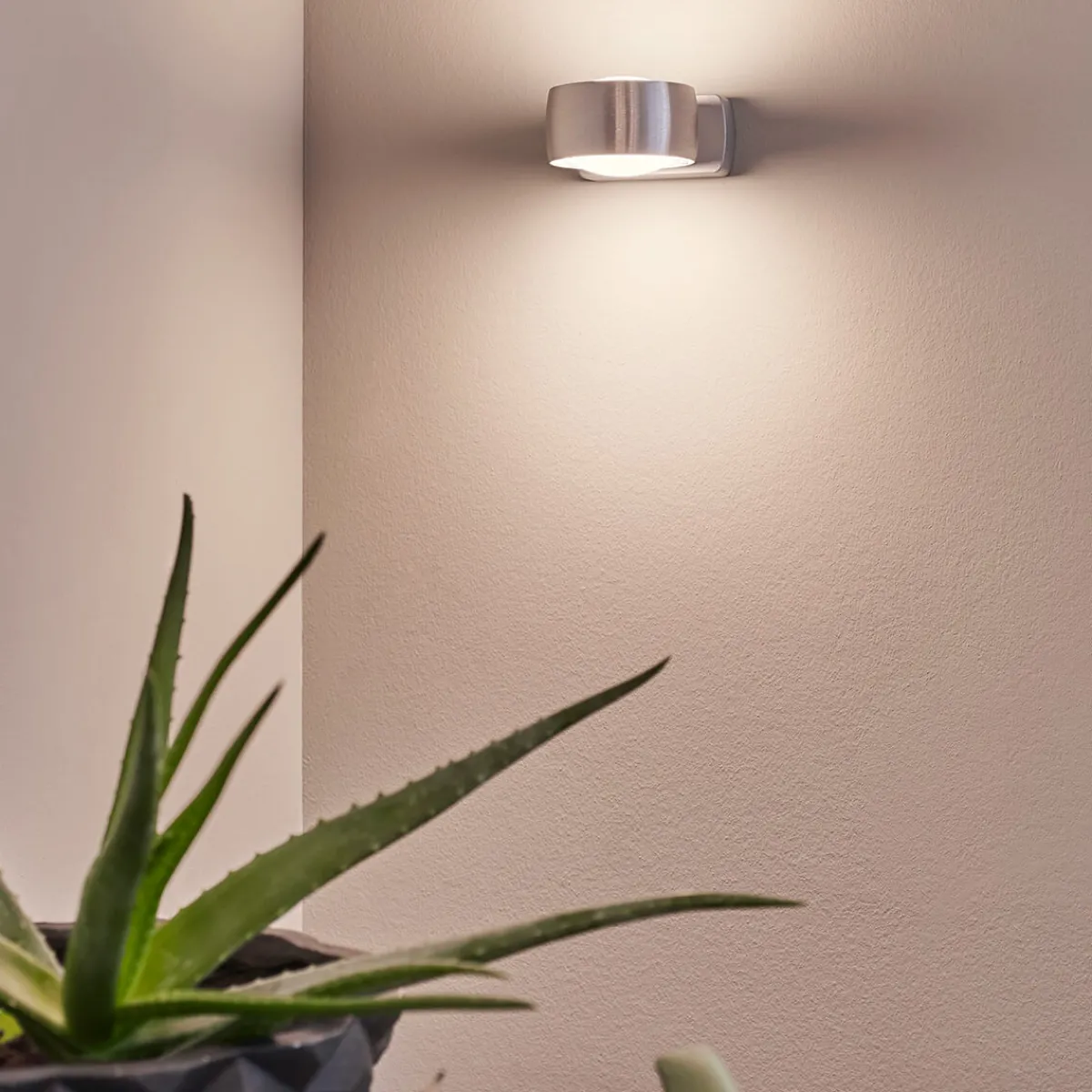 Hot Grace LED Wandleuchte, Tunable White Wandleuchten|Wandleuchten