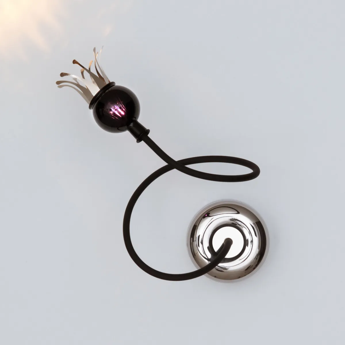 New Poppy Wall / Ceiling 1 Wand- / Deckenleuchte Wandleuchten|Deckenleuchten