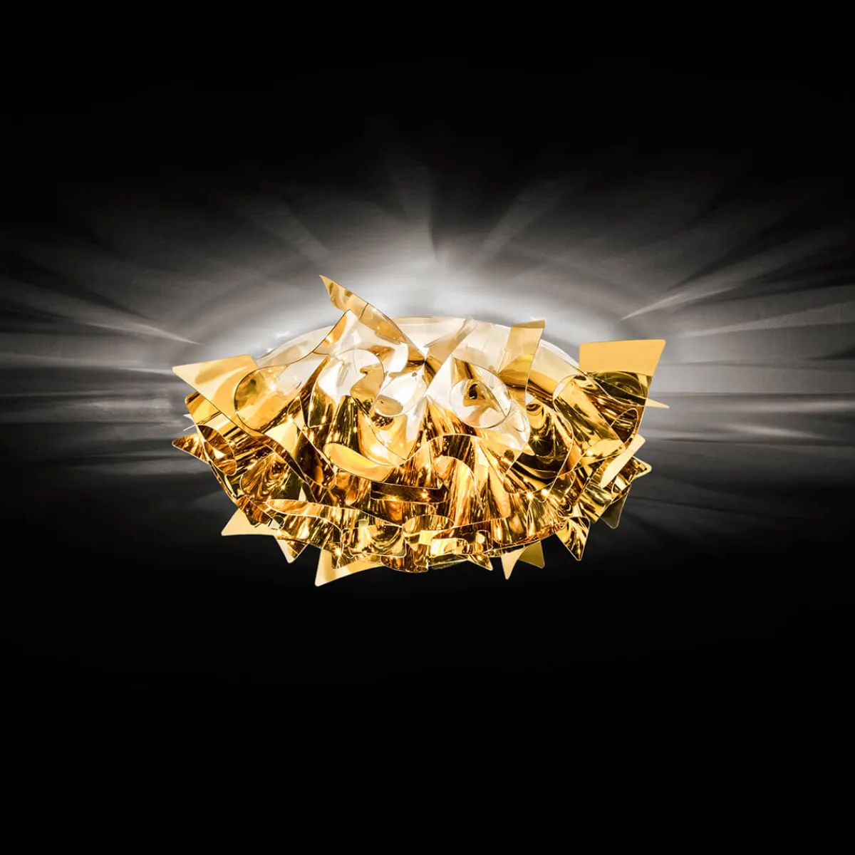 New Veli Ceiling / Wall Mini Wandleuchten|Deckenleuchten