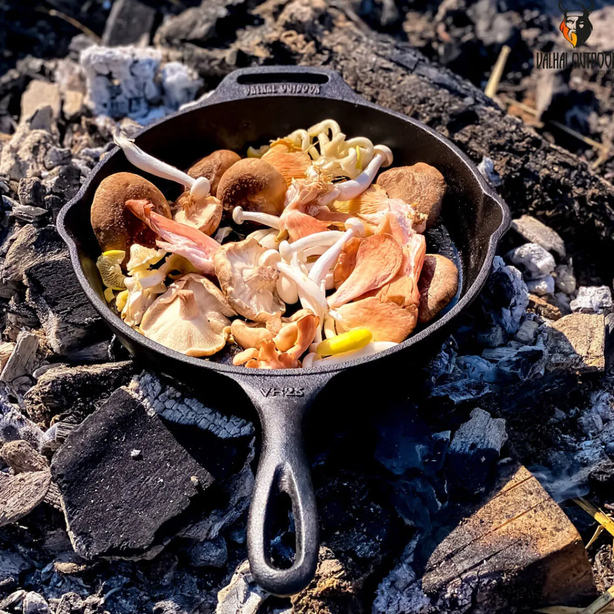 Online Feuerpfanne 25 cm mit Stiel Grills & Pizzaöfen