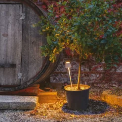 Clearance Poldina Picchetto Pro LED Akku-Spießleuchte Terrassen|Dekorative Leuchten