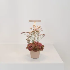 Hot Poldina Reverso Pro LED Akkuleuchte Gadgets & Technik|Aufbewahrung