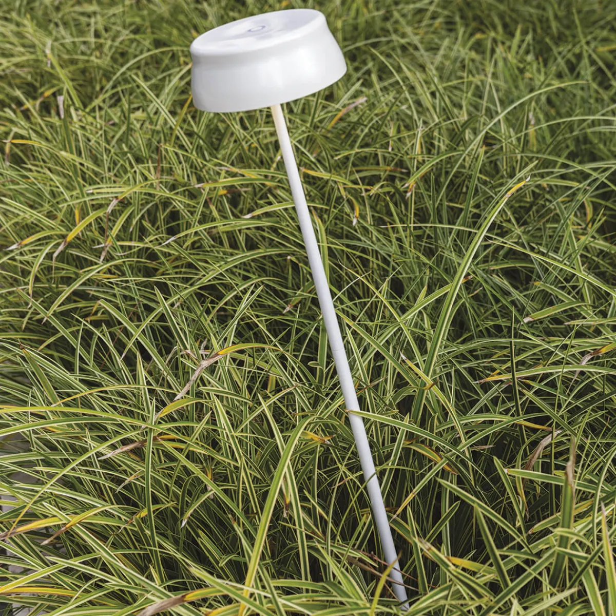 New Sister Light Wi-Fi Picchetto LED Akku-Spießleuchte Stehleuchten|Terrassen